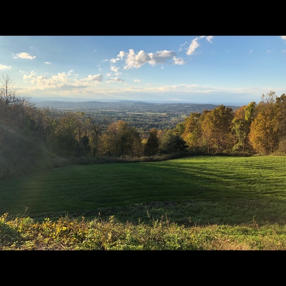 Meet your Posher, Rosa - Picture 1 of 1